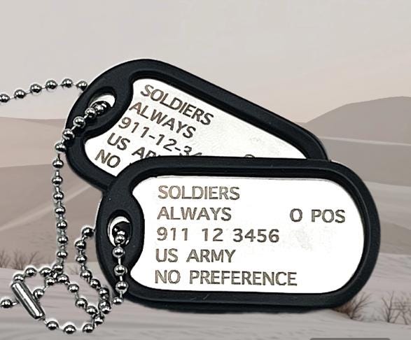 Stainless Steel Dog Tag ID Set