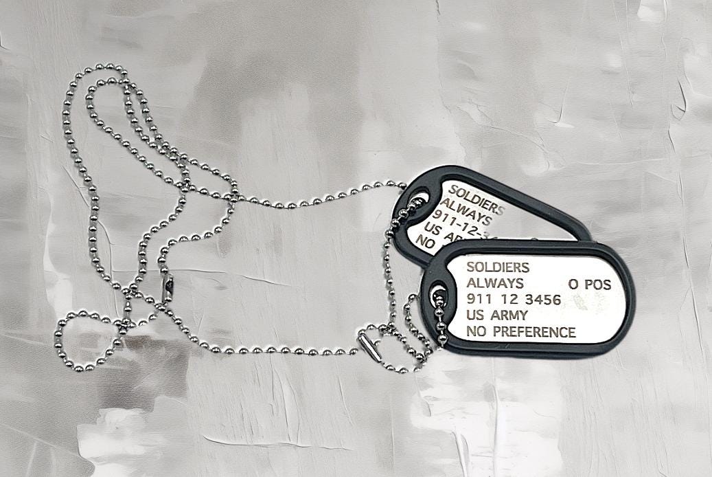 Stainless Steel Dog Tag ID Set
