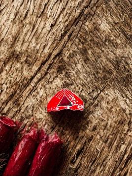 Delta Sigma Theta Brooch Pen