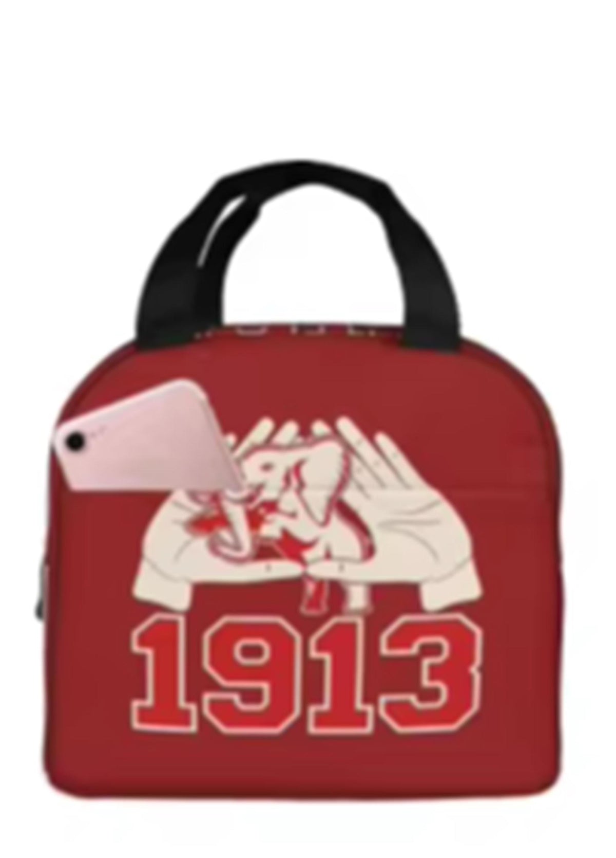 Delta Sigma Theta Sorority Lunch Bag