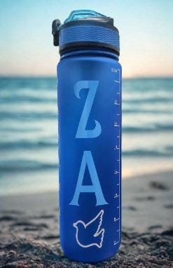 Zeta  Amicae 32oz Water Bottle with secure lock