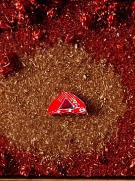 Delta Sigma Theta Brooch Pen