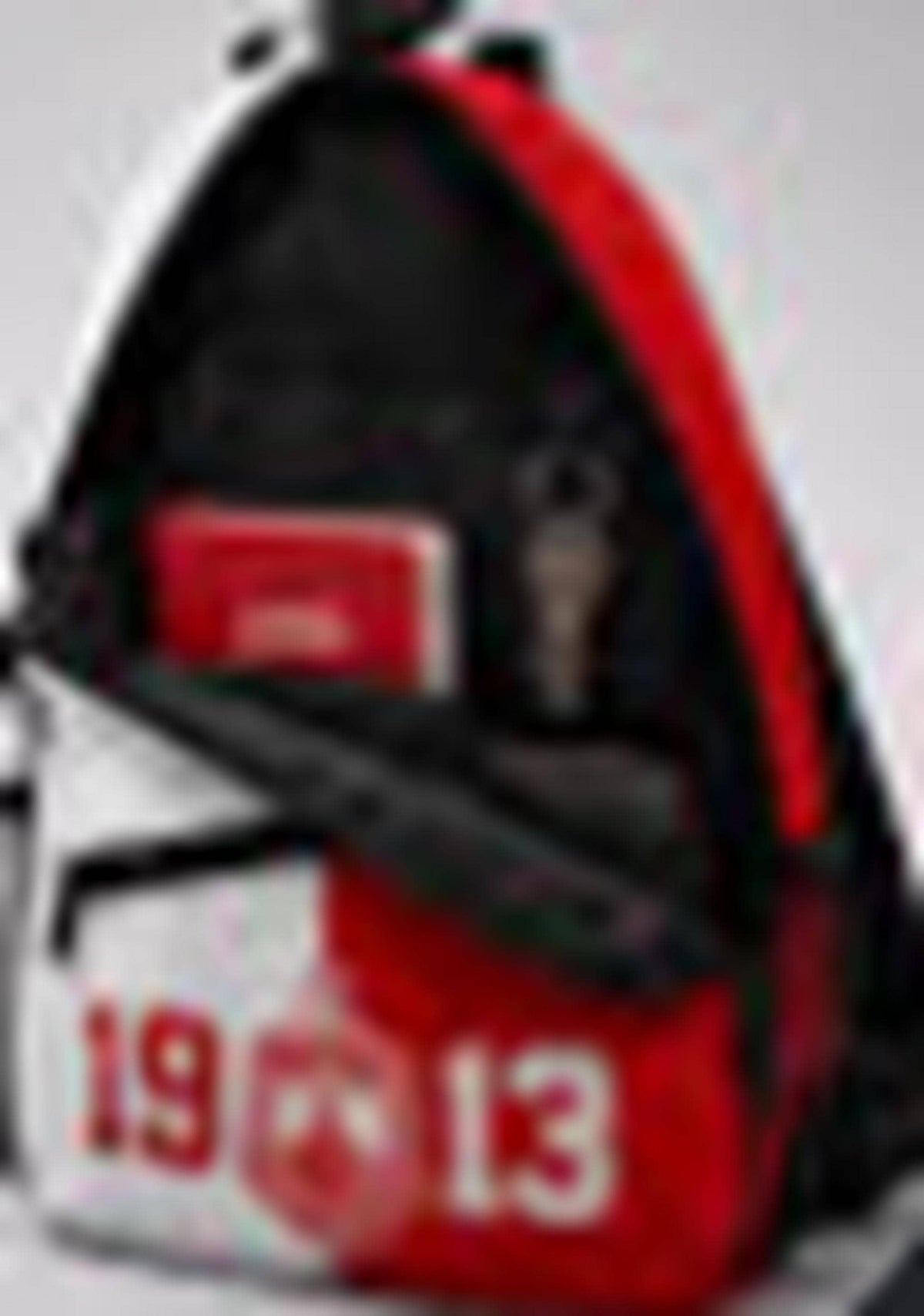 Delta Sigma Theta Sorority Red, White & Black Mini Backpack – Greek Letter Bookbag